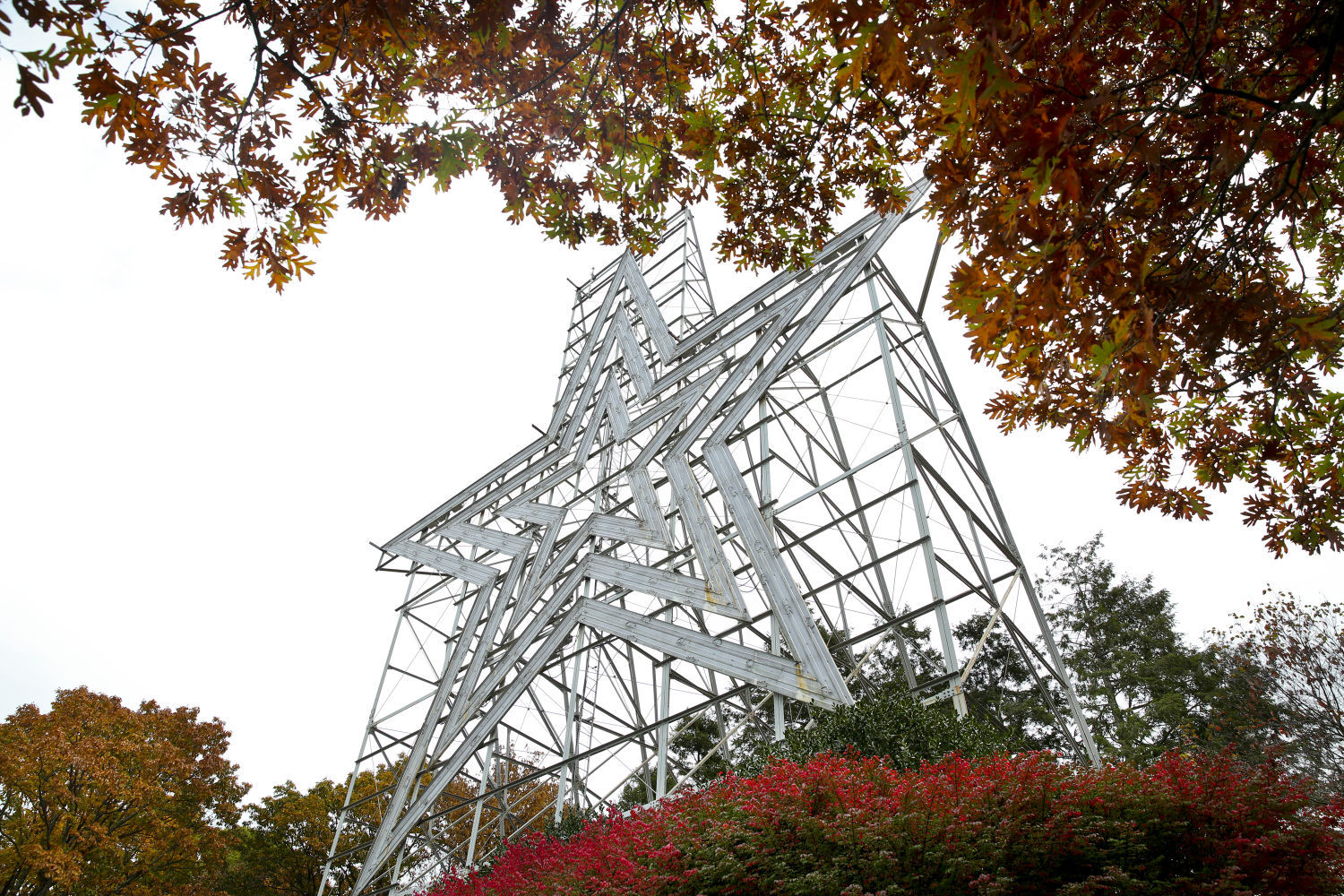 skd fallfoliage 102615 p02